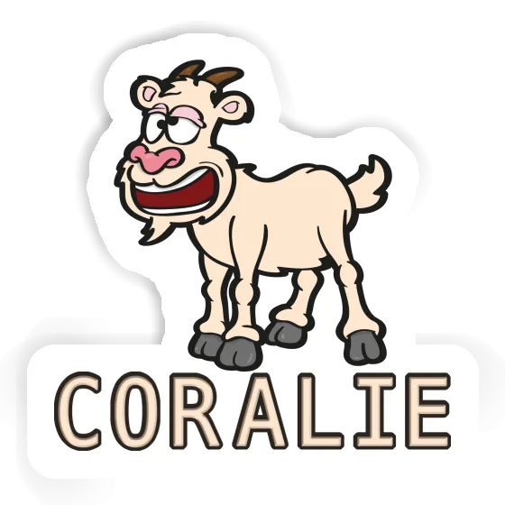 Goat Sticker Coralie Gift package Image