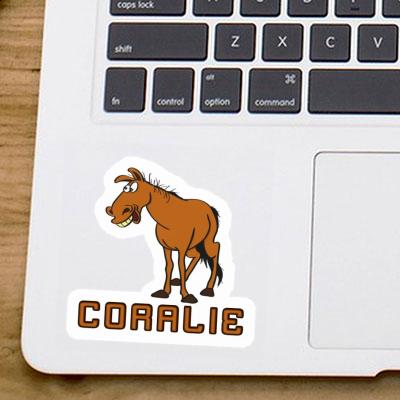 Sticker Coralie Horse Gift package Image