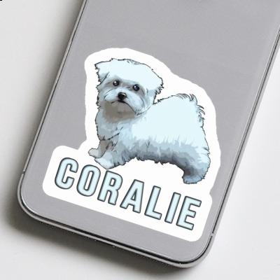 Sticker Coralie Maltese Laptop Image