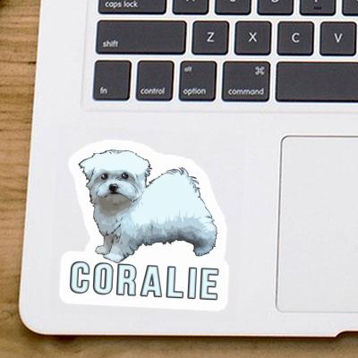 Sticker Coralie Maltese Image