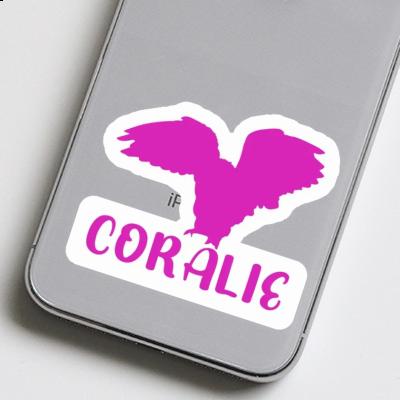 Coralie Sticker Owl Gift package Image