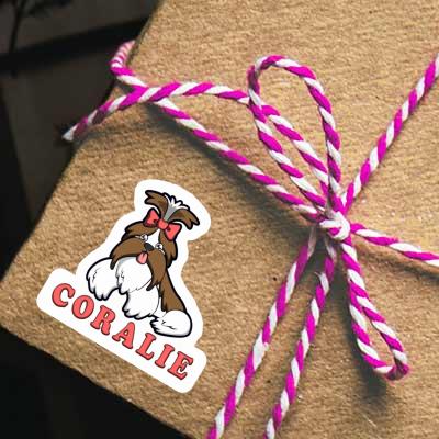 Shih Tzu Sticker Coralie Gift package Image