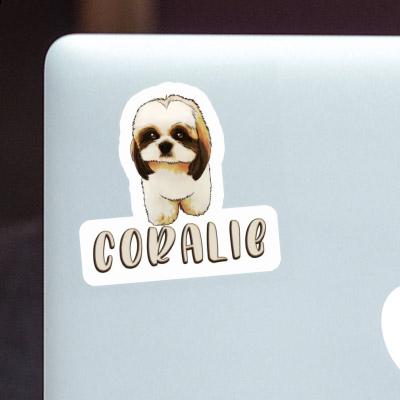 Shih Tzu Sticker Coralie Gift package Image