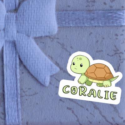 Coralie Sticker Turtle Gift package Image