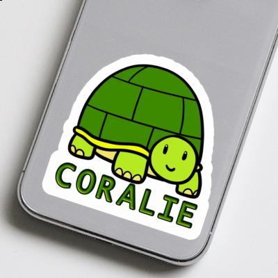 Sticker Turtle Coralie Image