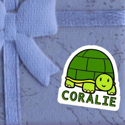 Sticker Turtle Coralie Laptop Image