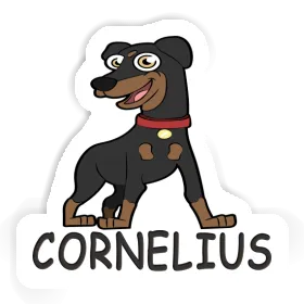 Sticker Cornelius Pinscher Image