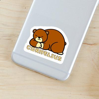 Sticker Cornelius Bear Laptop Sticker Cornelius Bear Laptop Image