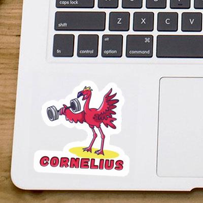 Sticker Cornelius Flamingo Notebook Sticker Cornelius Flamingo Gift package Image