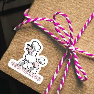 Poodle Sticker Cornelius Laptop Poodle Sticker Cornelius Laptop Image
