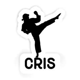 Sticker Cris Karateka Image