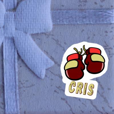 Sticker Boxing Glove Cris Notebook Sticker Boxing Glove Cris Gift package Image