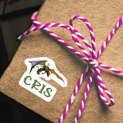Dragon Sticker Cris Notebook Dragon Sticker Cris Gift package Image