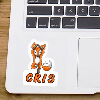 Cris Sticker Yoga Fuchs Notebook Cris Sticker Yoga Fuchs Notebook Image