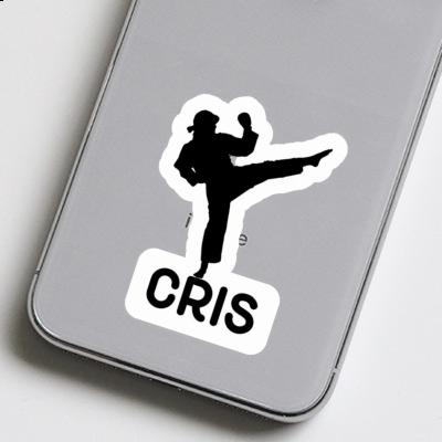 Aufkleber Karateka Cris Notebook Aufkleber Karateka Cris Gift package Image