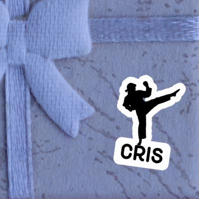 Aufkleber Karateka Cris Laptop Aufkleber Karateka Cris Laptop Image