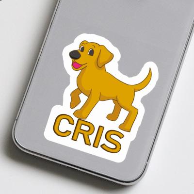 Sticker Cris Labrador Sticker Cris Labrador Image