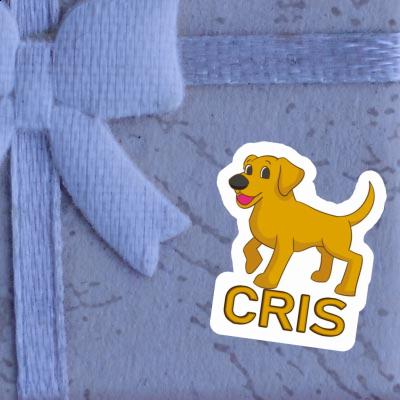 Sticker Cris Labrador Notebook Sticker Cris Labrador Gift package Image