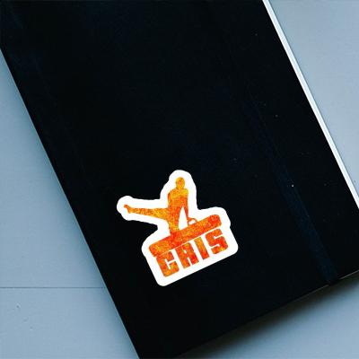 Cris Sticker Gymnast Laptop Image