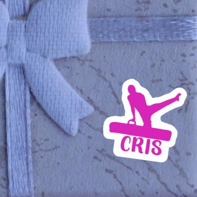 Sticker Gymnast Cris Notebook Sticker Gymnast Cris Gift package Image