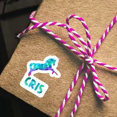 Sticker Cris Horse Notebook Sticker Cris Horse Gift package Image