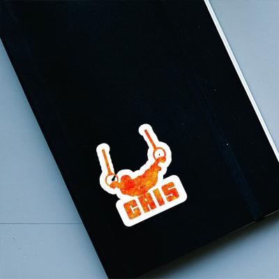 Sticker Cris Ring gymnast Notebook Sticker Cris Ring gymnast Gift package Image