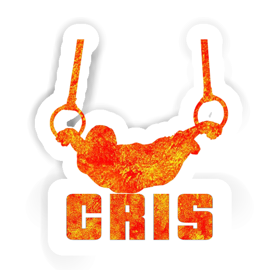 Sticker Cris Ring gymnast Laptop Sticker Cris Ring gymnast Laptop Image