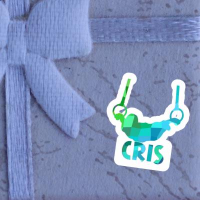 Cris Sticker Ring gymnast Notebook Cris Sticker Ring gymnast Gift package Image