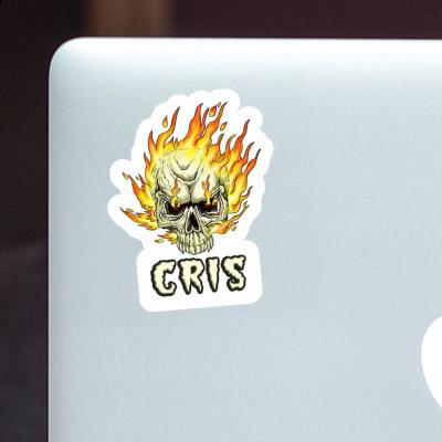Autocollant Tête de mort Cris Laptop Autocollant Tête de mort Cris Laptop Image