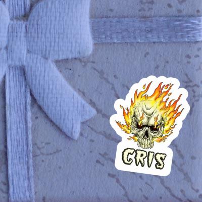 Sticker Skull Cris Notebook Sticker Skull Cris Gift package Image