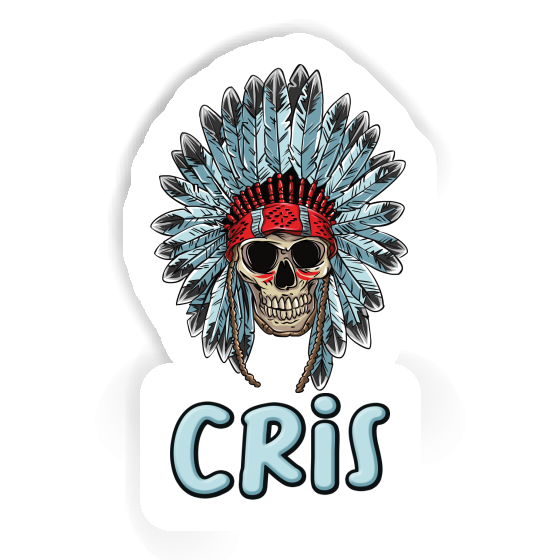 Cris Sticker Indian Skull Notebook Cris Sticker Indian Skull Gift package Image