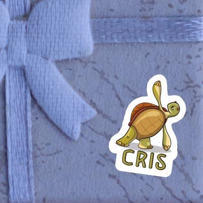 Sticker Turtle Cris Laptop Sticker Turtle Cris Laptop Image