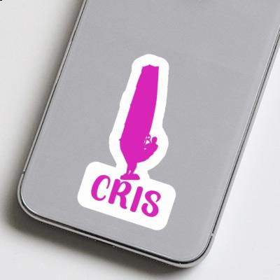 Cris Sticker Windsurfer Cris Sticker Windsurfer Image