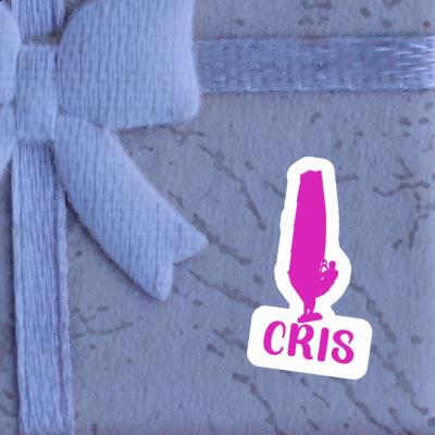 Cris Sticker Windsurfer Notebook Cris Sticker Windsurfer Gift package Image