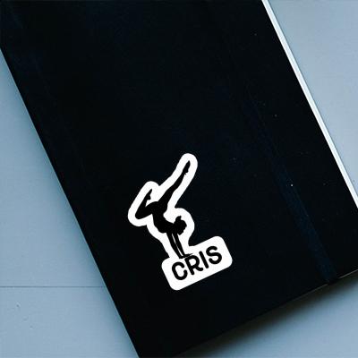 Sticker Cris Yoga Woman Laptop Sticker Cris Yoga Woman Laptop Image