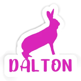 Autocollant Lapin Dalton Image