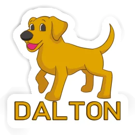 Autocollant Labrador Dalton Image
