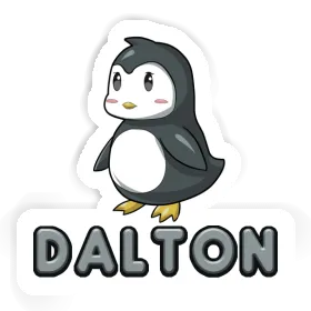 Autocollant Pingouin Dalton Image