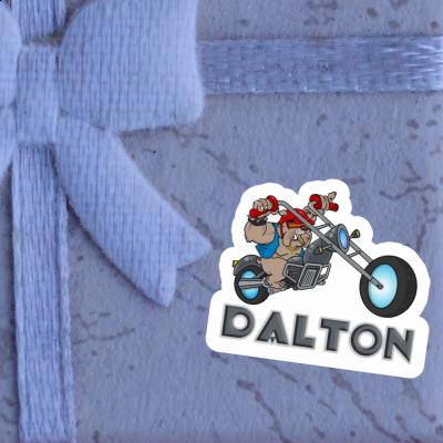 Autocollant Chien Dalton Notebook Autocollant Chien Dalton Notebook Image