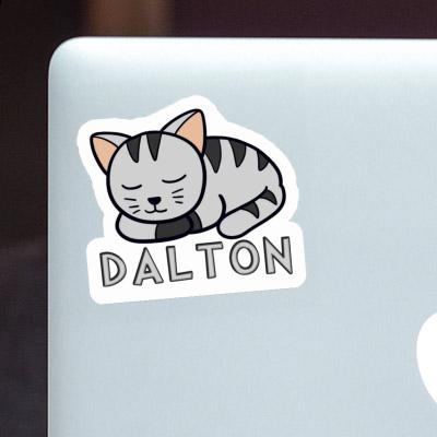 Chat Autocollant Dalton Gift package Image
