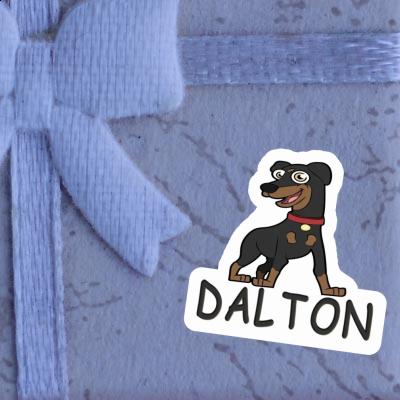 Autocollant Pinscher Dalton Autocollant Pinscher Dalton Image