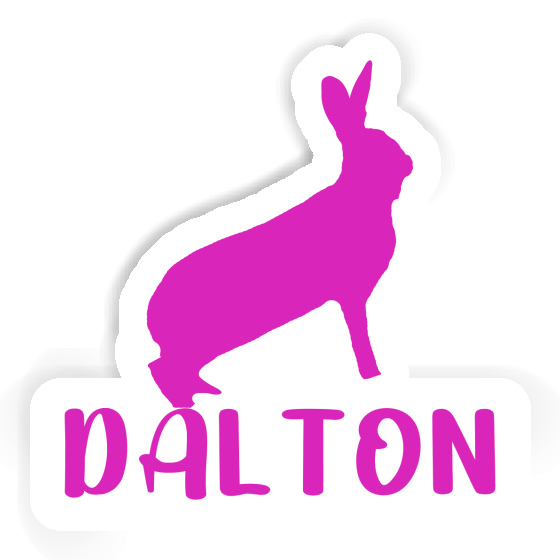 Autocollant Lapin Dalton Notebook Autocollant Lapin Dalton Notebook Image