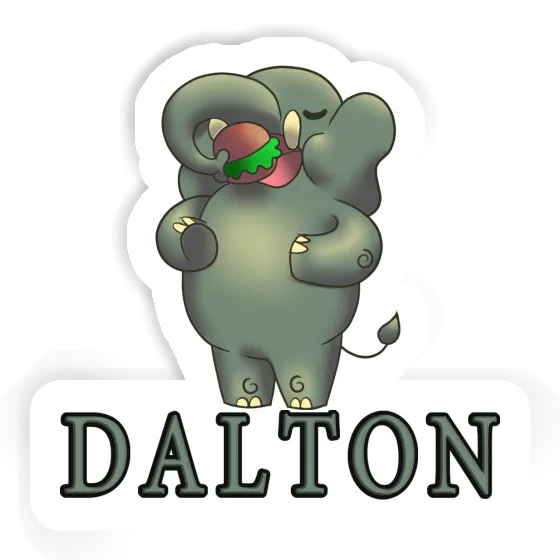 Éléphant Autocollant Dalton Gift package Image