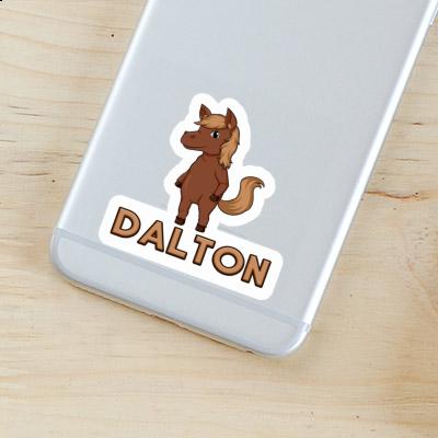 Autocollant Cheval Dalton Notebook Autocollant Cheval Dalton Gift package Image