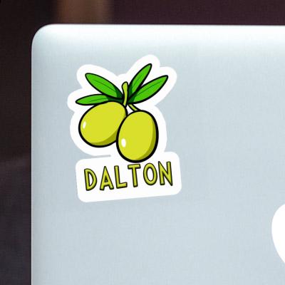 Olive Autocollant Dalton Notebook Olive Autocollant Dalton Gift package Image