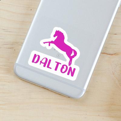 Autocollant Cheval Dalton Autocollant Cheval Dalton Image