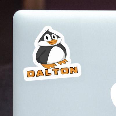 Dalton Autocollant Pingouin Notebook Dalton Autocollant Pingouin Gift package Image