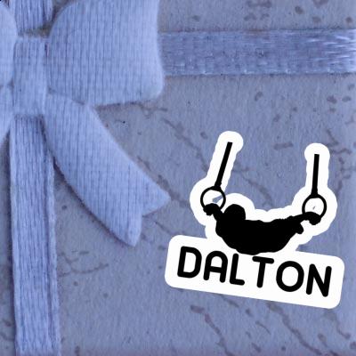Autocollant Dalton Gymnaste aux anneaux Notebook Autocollant Dalton Gymnaste aux anneaux Gift package Image