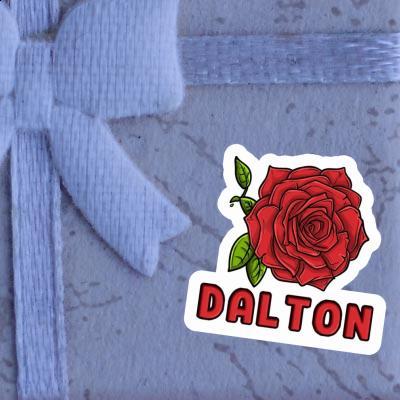 Autocollant Dalton Rose Notebook Autocollant Dalton Rose Gift package Image