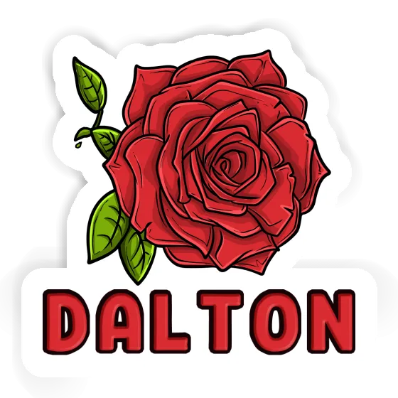 Autocollant Dalton Rose Image